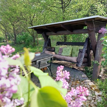 Apartment Gnubbel Am Wald Weisswasser Ngoại thất bức ảnh