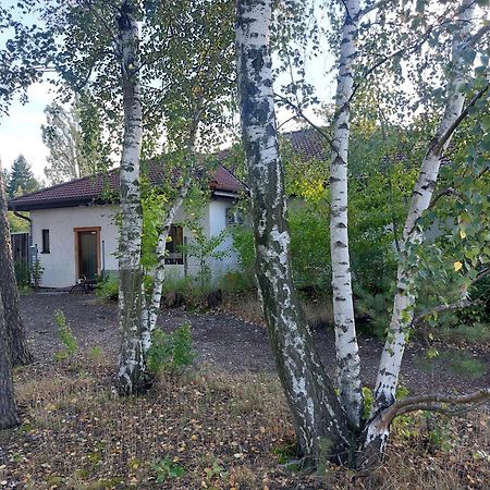 Apartment Gnubbel Am Wald Weisswasser Ngoại thất bức ảnh